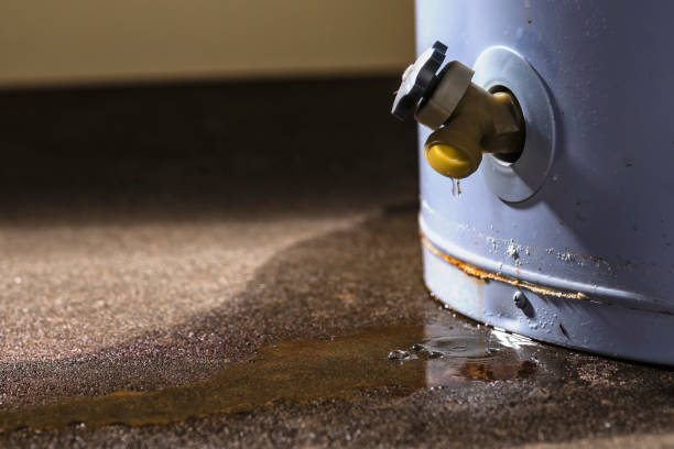 Best Mold removal after water damage  in China Grove, NC