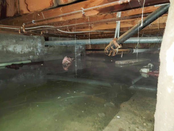 Best Local water damage restoration  in China Grove, NC
