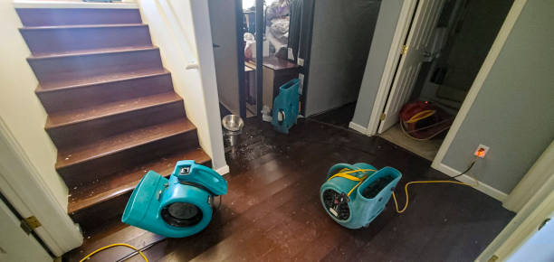 Best Mold removal after water damage  in China Grove, NC