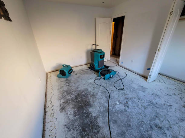 Water damage restoration mold remediation in NC