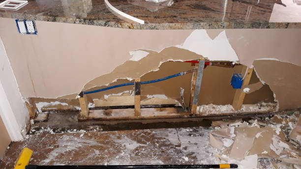 Best Water damage mitigation services  in China Grove, NC
