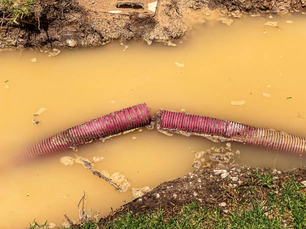 Best Water damage restoration near me  in China Grove, NC